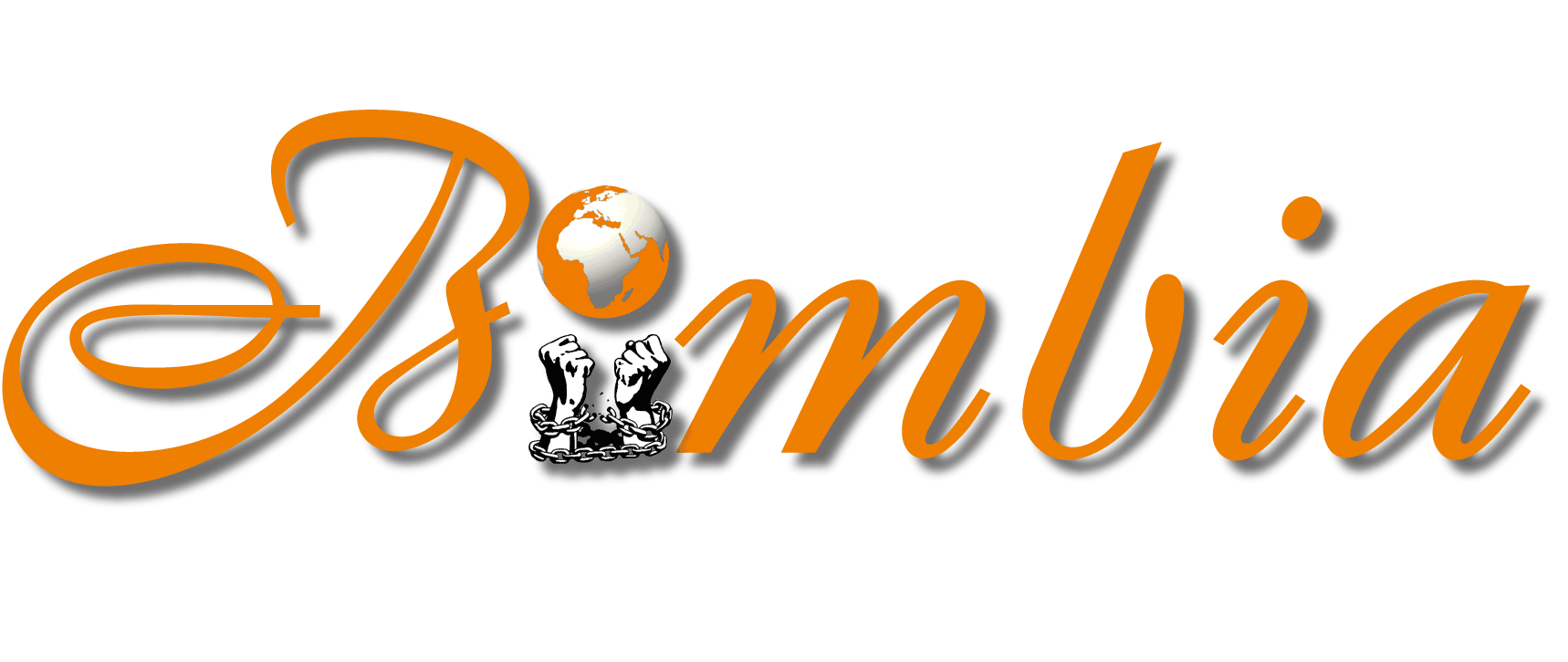 Bimbia Financial Nexus Consulting